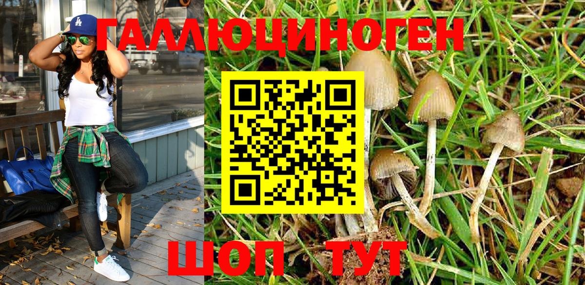 Галлюциногенные грибы MAGIC MUSHROOMS Борзя