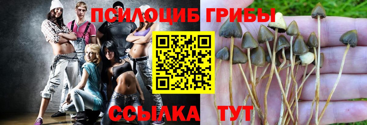 Галлюциногенные грибы MAGIC MUSHROOMS  Псилоцибиновые грибы Psilocybe  Борзя  Вход с VPN 